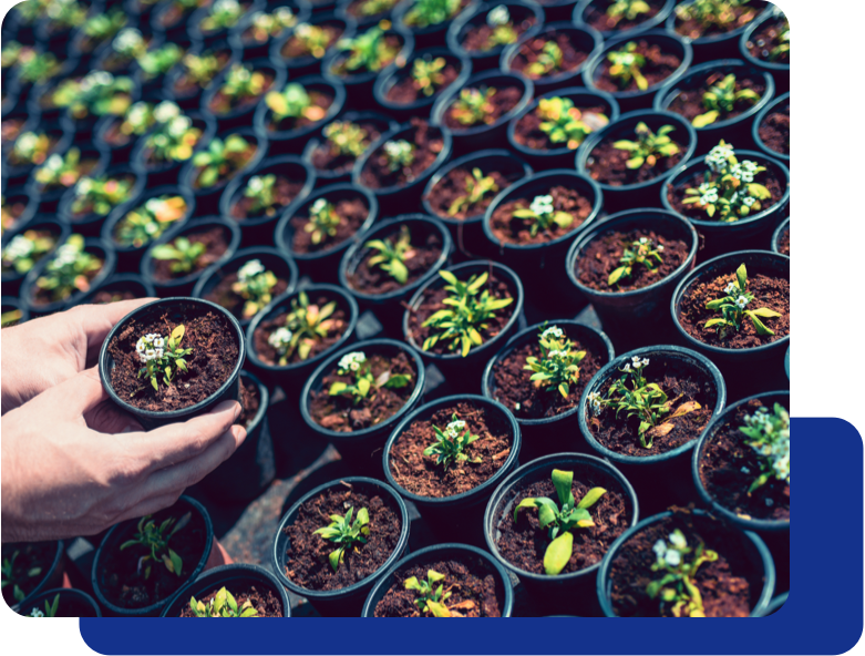 Trabalhamos para um futuro sustentável